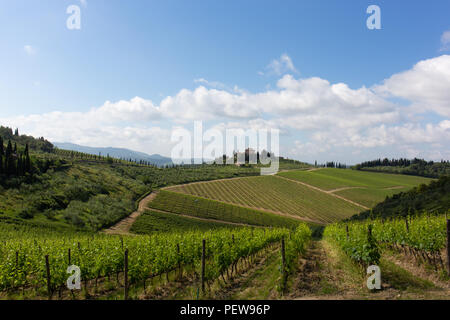 Paysage typique de la Toscane, des collines de vignes Banque D'Images