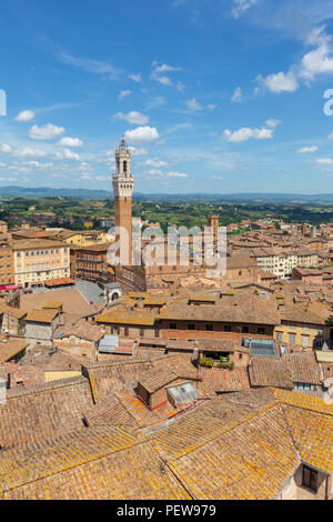 Vue sur la Piazza del Campo avec le Tour du Mangia du point de vue au Museo dell'Opera Banque D'Images