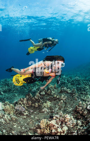 Deux femmes plongeuses (MR) sur les scooters sous-marins au large de Maui, Hawaii. Banque D'Images