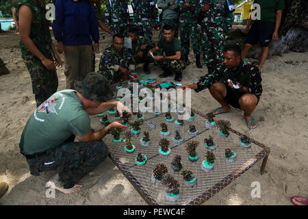 Lieutenant du Corps des Marines des États-Unis Luc Parker, gauche, commandant de peloton avec Golf Company, 2e Bataillon, 4e Régiment de Marines, et l'Indonésien marines fixer coral à ciment pour créer une barrière de corail au cours de force de débarquement à flot la coopération et la formation de l'état de préparation (LF) CARAT 2015 à Bama Beach, à l'Est de Java, en Indonésie, le 7 août, 2015. LF CARAT est destiné à consolider, accroître l'interopérabilité dans la planification et les opérations amphibies et les ensembles de compétences de base entre les États-Unis et les nations de l'Indonésie, la Malaisie et la Thaïlande. (U.S. Marine Corps photo par MCIPAC le Caméra de combat. Sergio RamirezRo Banque D'Images