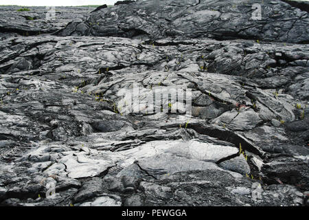 Coulée de lave, Kilauea Volcano, Hawaii, USA Banque D'Images