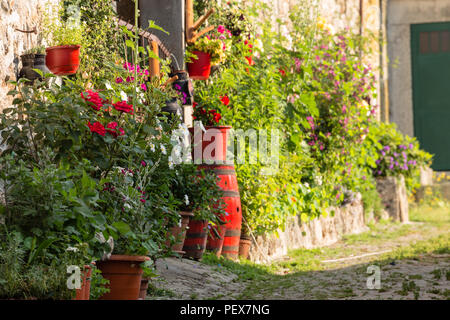 Scène de village traditionnel avec des fleurs, Pitoes das Junias, Alto Tras os Montes, Norte, Portugal. Banque D'Images