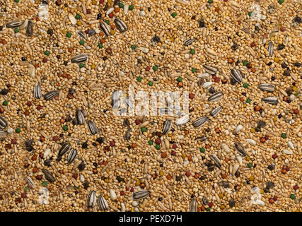 Grains et graines assortiment, aliments pour oiseaux, macro closeup texture, full frame Banque D'Images