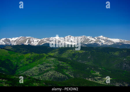 Paysage de montagne avec des forêts de pins verts et de Sommets enneigés Banque D'Images