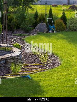 Tuyau de jardin en caoutchouc portant sur pelouse et jardin écorce rim. Banque D'Images