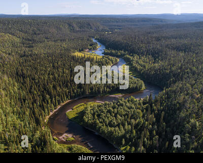 Vue aérienne de l'immense forêt boréale aka la taïga sur journée ensoleillée dans le Parc National d'Oulanka, Finlande Banque D'Images