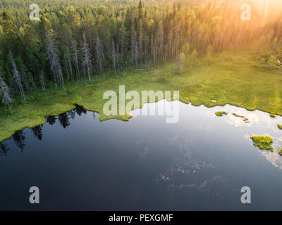 Vue aérienne de la forêt et le petit lac ou étang dans la forêt de la taïga boréale aka en Finlande Banque D'Images