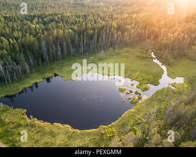 Vue aérienne de la forêt et le petit lac ou étang dans la forêt de la taïga boréale aka en Finlande Banque D'Images