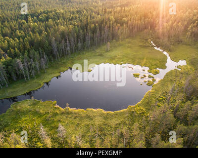 Vue aérienne de la forêt et le petit lac ou étang dans la forêt de la taïga boréale aka en Finlande Banque D'Images