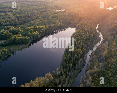 Vue aérienne de la forêt et le petit lac ou étang dans la forêt de la taïga boréale aka en Finlande Banque D'Images