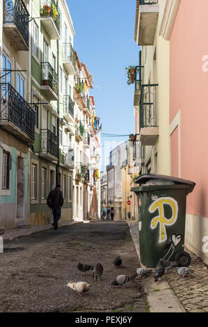 Lisbonne, Portugal - 11 mars 2016 : Les pigeons se nourrissent de Machadinho étroit Rua street dans le centre de Lisbonne. Banque D'Images