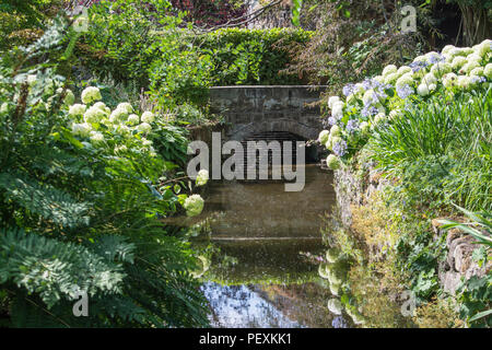 Dispositif de l'eau et de fleurs frontière à Melbourne Hall and Gardens, Derbyshire, Royaume-Uni Banque D'Images