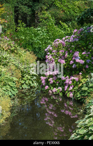 Dispositif de l'eau et de fleurs frontière à Melbourne Hall and Gardens, Derbyshire, Royaume-Uni Banque D'Images