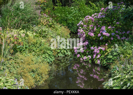 Dispositif de l'eau et de fleurs frontière à Melbourne Hall and Gardens, Derbyshire, Royaume-Uni Banque D'Images