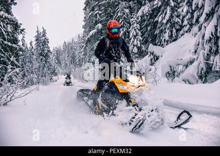 Man riding motoneige en forêt dans la vallée Callaghan, Whistler, British Columbia, Canada Banque D'Images