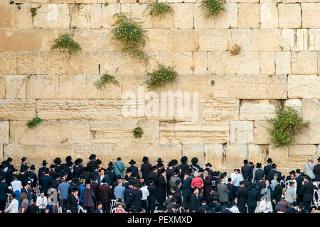 Juifs en prière au Mur des lamentations, Jérusalem, Israël Banque D'Images