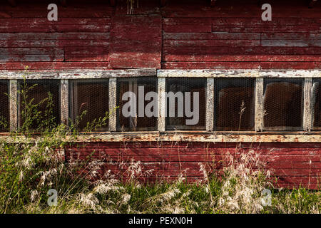 Ligne de windows sur une vieille grange, délavées. Banque D'Images