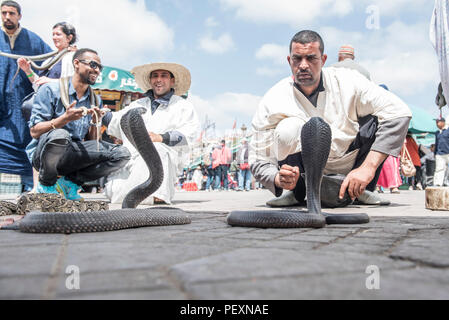 Les charmeurs de serpent à la place Djemaa El Fna de Marrakech, Maroc Banque D'Images