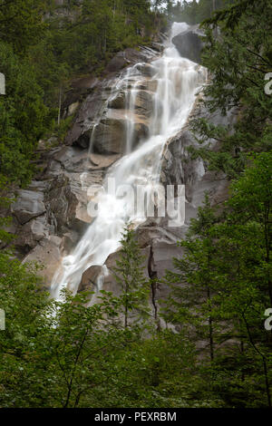 Shannon Falls au Parc Provincial à Squamish, British Columbia Canada Banque D'Images