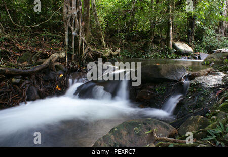 Eiria Singkawang, parc de Taman, à l'ouest de Kalimantan, Indonésie Banque D'Images