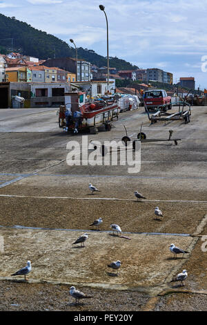 Vue sur le village de pêcheurs de La Guardia - Orense - province de Pontevedra, Galice, Espagne, Europe Banque D'Images