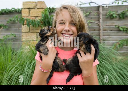 Happy girl holding deux chiots yorkshire terrier sur ses mains, l'été fond nature, pelouse verte Banque D'Images