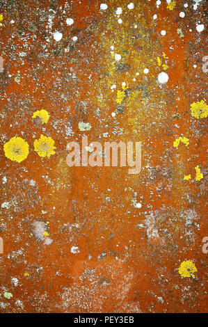 Closeup of old weathered pierre tombale avec Moss. Banque D'Images