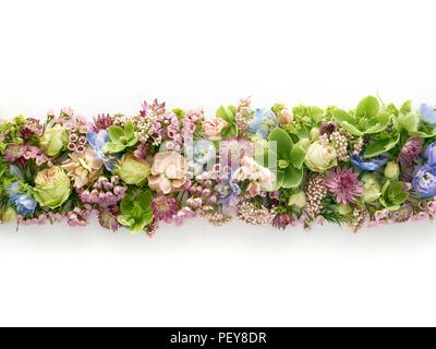 Les fleurs de printemps dans une ligne, studio shot. Banque D'Images