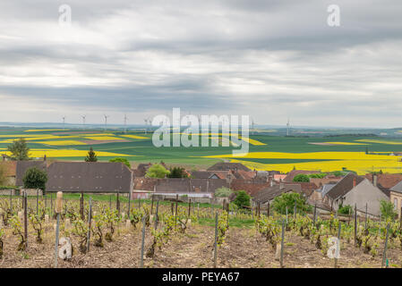 Village de Bethon, France avec des champs de colza et les éoliennes dans la distance et de la vigne au premier plan. Banque D'Images