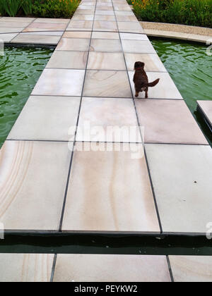 Coupe propre, nette des blocs en pierre et divers sentiers officiels & décoratifs salon avec espace pavé à une maison de campagne dans le jardin de la propriété de l'Angleterre publié Banque D'Images