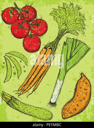 Croquis de légumes légumes mixtes sur un fond texturé. Illustration de Vecteur