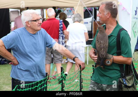 Week-end Festival Du Canal Blisworth englobe tout le village des rives du Grand Union Canal, à Blisworth Hall et au-delà. Un événement annuel qui réunit dans les visiteurs et amateurs de canalboat de loin pour profiter de sites dignes d'intérêt y compris : chiens, oiseaux de proie, classic et de véhicules militaires, canal en bateau et des commerçants, de l'artisanat, manèges forains et bien plus encore. 18 août 2018 Photo par Keith Mayhew Banque D'Images