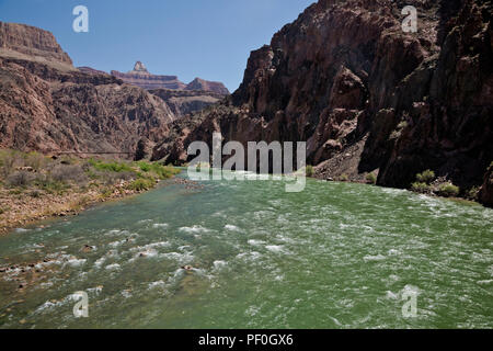 AZ00295-00...ARIZONA - le fleuve Colorado et le pont Noir du Silver Bridge sur le sentier dans le Parc National du Grand Canyon. Banque D'Images