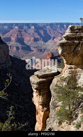 AZ00296-00...ARIZONA - falaises et une vue sur la région du canyon de la partie supérieure de la Bright Angel Trail dans le Parc National du Grand Canyon. Banque D'Images