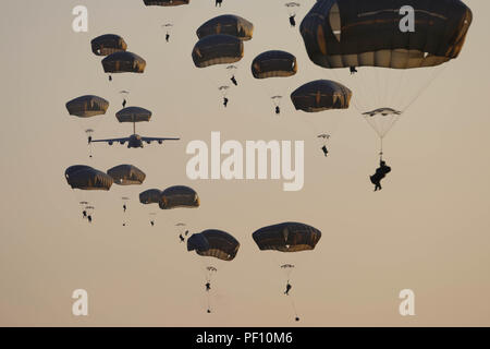 Parachutistes du 2e Bataillon du 505th Parachute Infantry Regiment descendre sur Fort Bragg's Holland Zone de chute après avoir mené une opération aéroportée en ligne statique d'un Air Force C-17 Globemaster le 14 août. La 3e brigade de parachutistes ont sauté dans le cadre d'un exercice commun de l'entrée forcée de tester leur capacité à sauter, monter et faire le suivi sur les opérations de combat. Banque D'Images