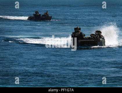 CAMP PENDLETON, en Californie (fév. 20, 2016) - Véhicules d'assaut amphibie (AAV) affecté à la 3e bataillon amphibie assaut préparer à s'engager sur le pont du coffre de transport amphibie USS dock Somerset (LPD 25) au cours d'une même opération de pont dans le cadre de l'exercice Iron Fist en 2016. Iron Fist est un exercice d'entraînement bilatéral annuel entre le Japon d auto-défense au sol et des Marines pour renforcer les capacités de combat du navire à la terre dans les opérations. Les Marines, affecté à la 11e unité expéditionnaire de Marines, sont actuellement engagés dans le Somerset pour la phase finale de l'exercice. (U.S. Phot de la marine Banque D'Images