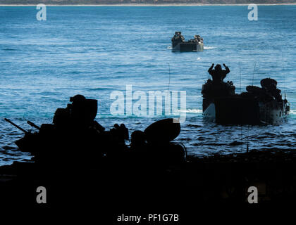 CAMP PENDLETON, en Californie (fév. 20, 2016) - Véhicules d'assaut amphibie (AAV) affecté à la 3e bataillon amphibie assaut préparer à s'engager sur le pont du coffre de transport amphibie USS dock Somerset (LPD 25) au cours d'une même opération de pont dans le cadre de l'exercice Iron Fist en 2016. Iron Fist est un exercice d'entraînement bilatéral annuel entre le Japon d auto-défense au sol et des Marines pour renforcer les capacités de combat du navire à la terre dans les opérations. Les Marines, affecté à la 11e unité expéditionnaire de Marines, sont actuellement engagés dans le Somerset pour la phase finale de l'exercice. (U.S. Phot de la marine Banque D'Images