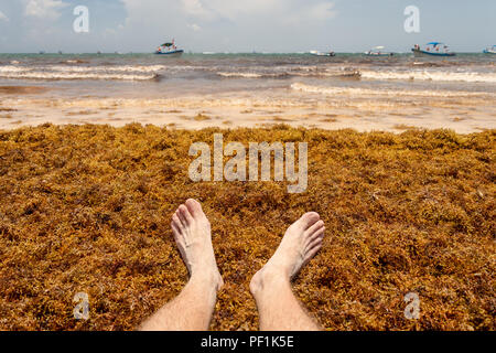 Pieds sur les algues Sargasses à la plage, près de Tulum, Mexique Banque D'Images