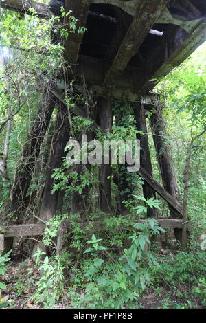 En vertu d'une ancienne voie de passage souterrain près de Simonton au Texas Banque D'Images