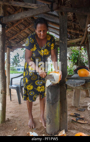 Femme nettoie coco pour les touristes. Sri Lanka 3 juin 2016. Banque D'Images