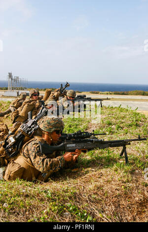 Les mitrailleurs avec la Compagnie Charlie, bataillon de l'équipe d'atterrissage 1er Bataillon, 5ème Marines, 31e Marine Expeditionary Unit, fixer le feu pour couvrir marines simulées contre l'aviation à Shima Ie centre de formation, Okinawa, Japon, le 12 février 2016. Marines et de marins avec la 31e MEU a décollé de l'USS Bonhomme Richard (DG 6) à Ie Shima pour un assaut vertical dans le cadre d'intégration formation amphibie avec les navires de la Marine du Bonhomme Richard groupe amphibie. La 31e MEU est actuellement déployée dans la région Asie-Pacifique. (U.S. Marine Corps photo prise par le sergent d'artillerie. Zachary Dyer/Releas Banque D'Images