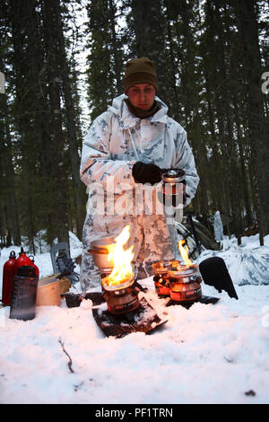 Le caporal Charles Roy III, un technicien en charge de l'optique à la compagnie interarmes de Bulgarie, utilise de petits brûleurs pour faire fondre la neige dans l'eau comme son unité met en place le camp pour la nuit. Cette société est composé de plusieurs véhicules avec plusieurs fonctionnalités, y compris les véhicules d'assaut amphibie, M1A1 Abrams des chars de combat et des véhicules blindés. Dans les semaines qui ont précédé l'exercice Cold Response 16, à la fin du mois, les deux nations ont mené la formation bilatérale pour améliorer la capacité du Corps des Marines des États-Unis pour l'exploitation par temps froid. L'exercice sera f Banque D'Images