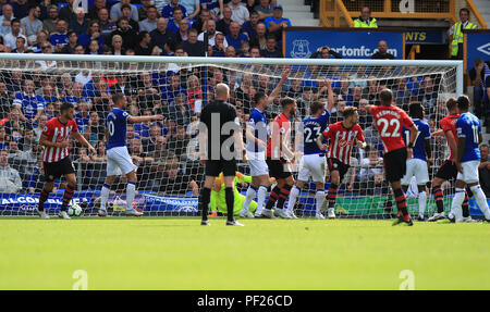 Southampton Danny Ings (cinquième à droite) du côté marque son premier but du jeu au cours de la Premier League match à Goodison Park, Liverpool. Banque D'Images