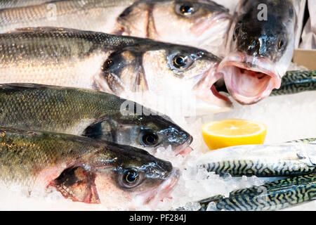 Poisson frais en vente sur un marché londonien Banque D'Images