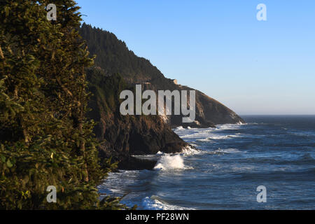 Vue d'une côte rocheuse le long de la côte centrale de l'Oregon près de Tête Heceta. Sapins au premier plan. Banque D'Images