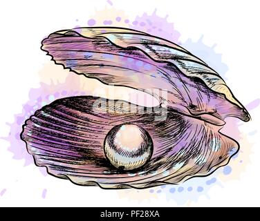 Ouvert à l'intérieur de la coquille avec pearl une éclaboussure de l'aquarelle Illustration de Vecteur