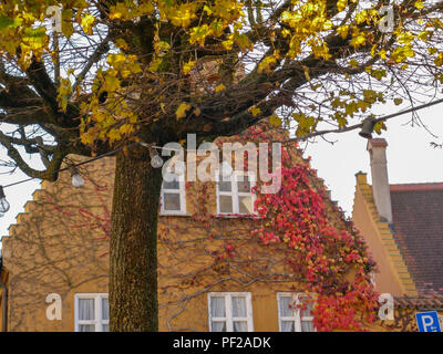 L'automne les feuilles de couleur sur les façades de la ville. La Fuggerei Augsbourg Banque D'Images