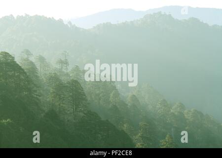 Couche de vert forêt et montagne dans la brume. Vue de Dochula Pass sur la route de Thimphu à Punaka, Bhoutan Banque D'Images