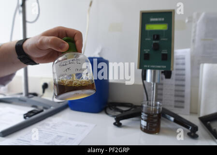 3 juillet 2017 - Santeny, France : Portrait de Kevin Besnard, la personne en charge de produit à l'usine de Alepia Santeny, une banlieue à 30 kilomètres à l'Est de Paris. L'usine a commencé à produire des savons d'Alep traditionnels après les usines de la ville syrienne d'Alep ont été détruits pendant la guerre civile. Reportage dans une fabrique de savons d'Alep, en banlieue parisienne. Le maître savonnier est un Syrien qui a ete obliger de fuir son pays du fait de la guerre civile. *** FRANCE / PAS DE VENTES DE MÉDIAS FRANÇAIS *** Banque D'Images