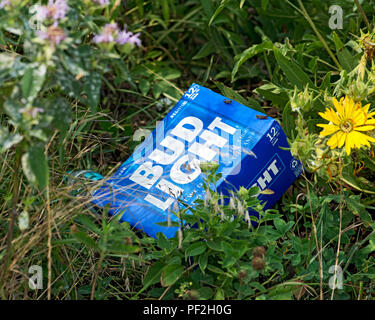 Concept de gestion des déchets. Bud Light emballage en papier, gable fort dans l'herbe. Banque D'Images